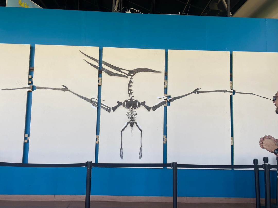 Rocky Mountain Dinosaur Resource Center-Woodland Park必去景点