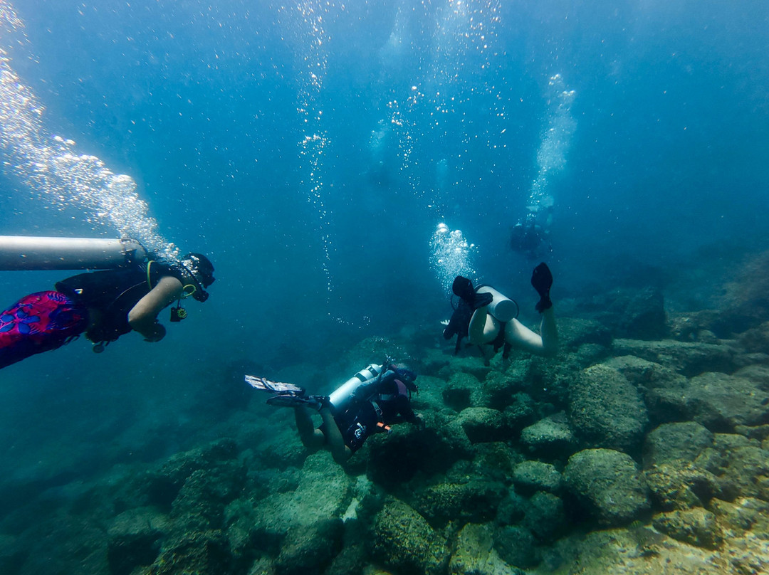 Nemo Diving Center - Fujairah-Dibba Al Fujairah必去景点