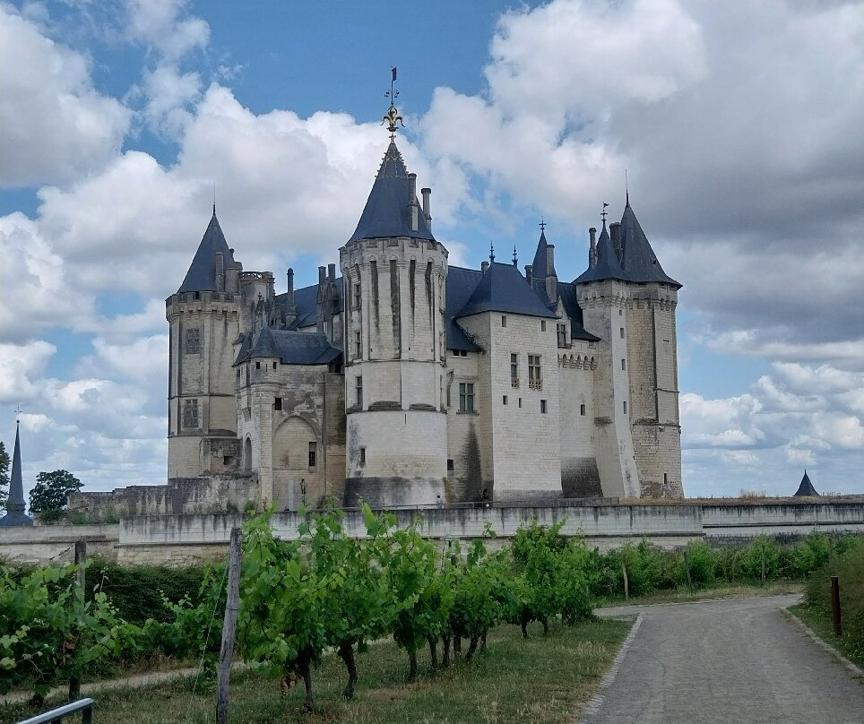 Château-musée De Saumur景点图片