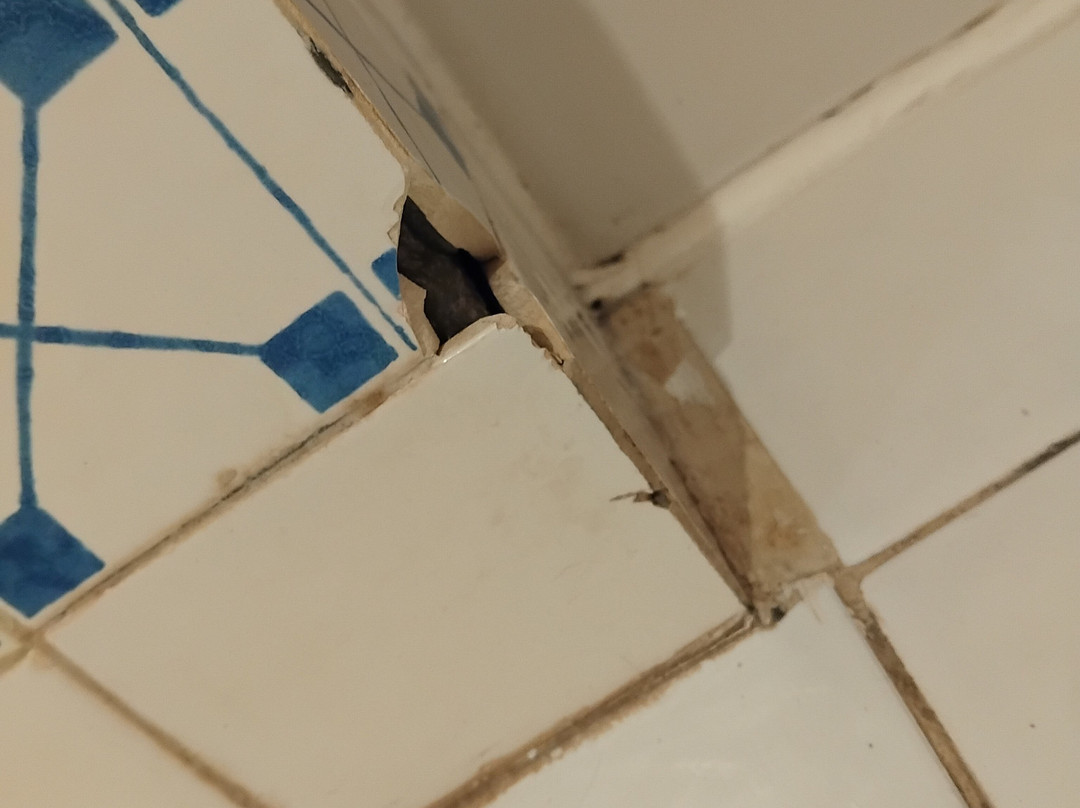 Duna Parque Beach Club主图