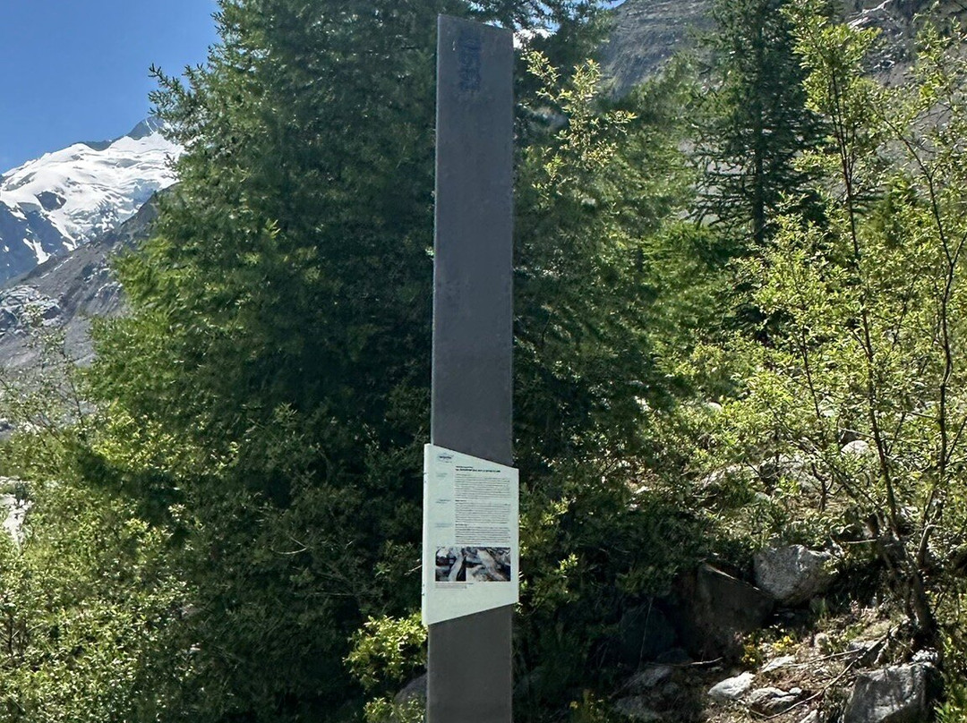 Morteratsch Glacier-Pontresina必去景点