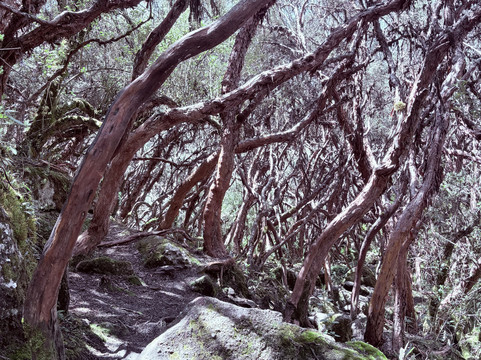 Amazing SouthAmerican Tours-昆卡必去景点