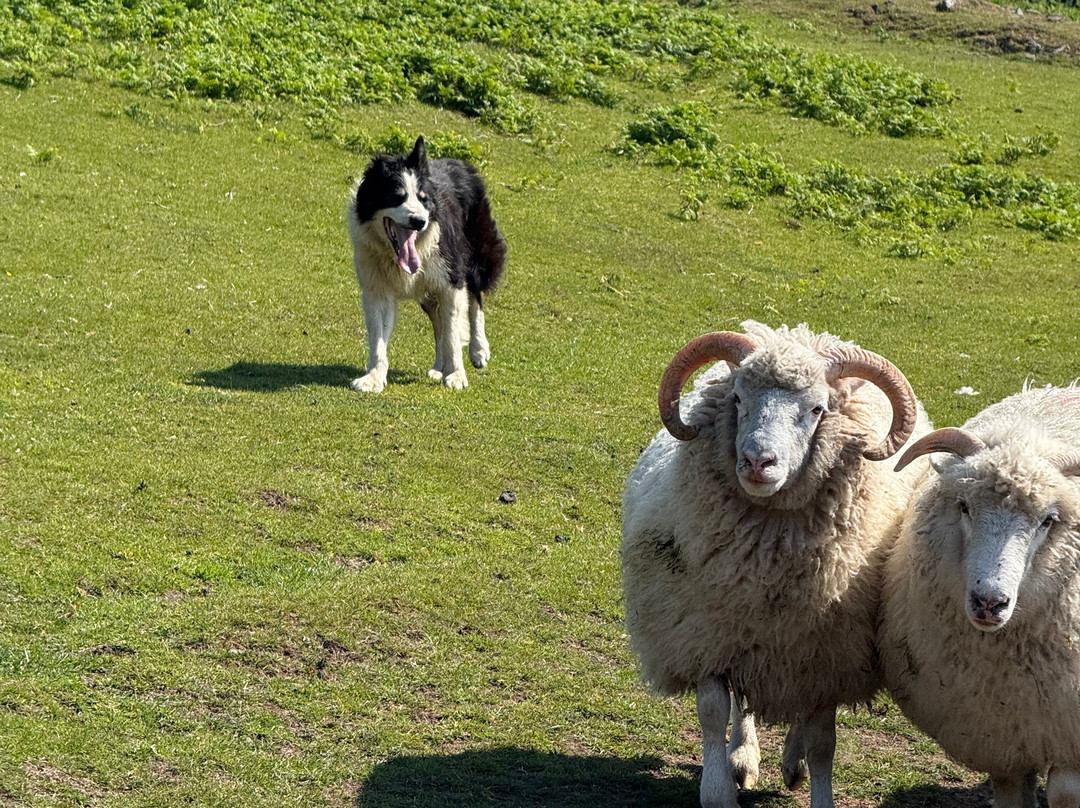JBM Executive Travel-恩尼斯必去景点