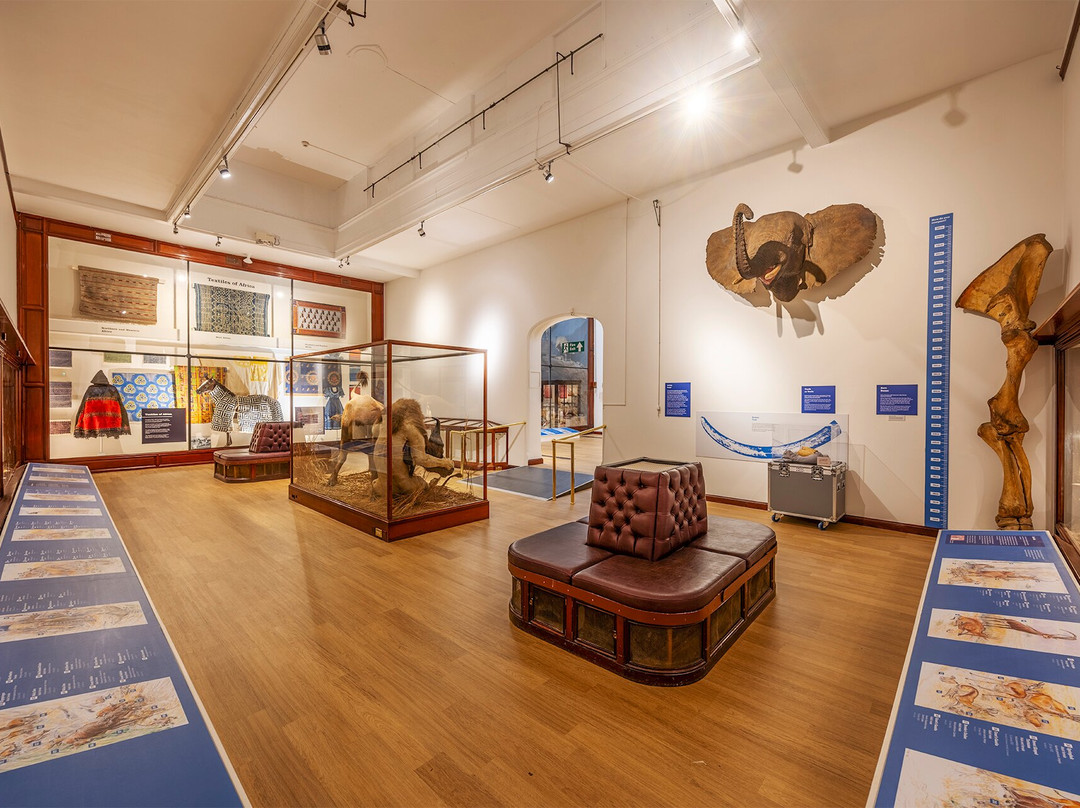 The Powell-Cotton Museum-Birchington必去景点