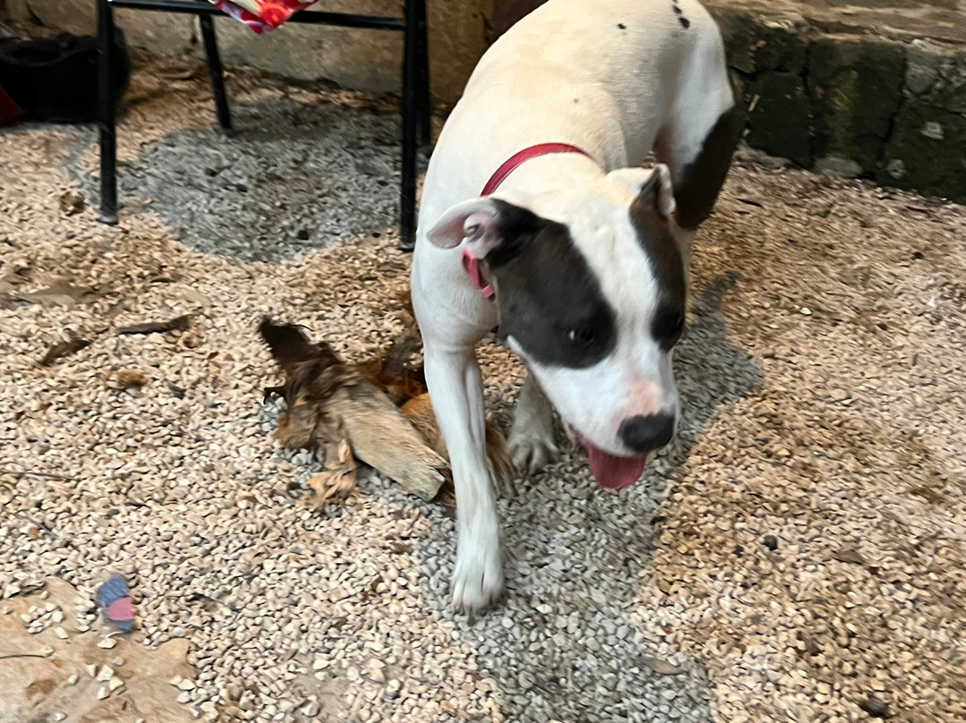 Espíritu Wellness-图伦必去景点