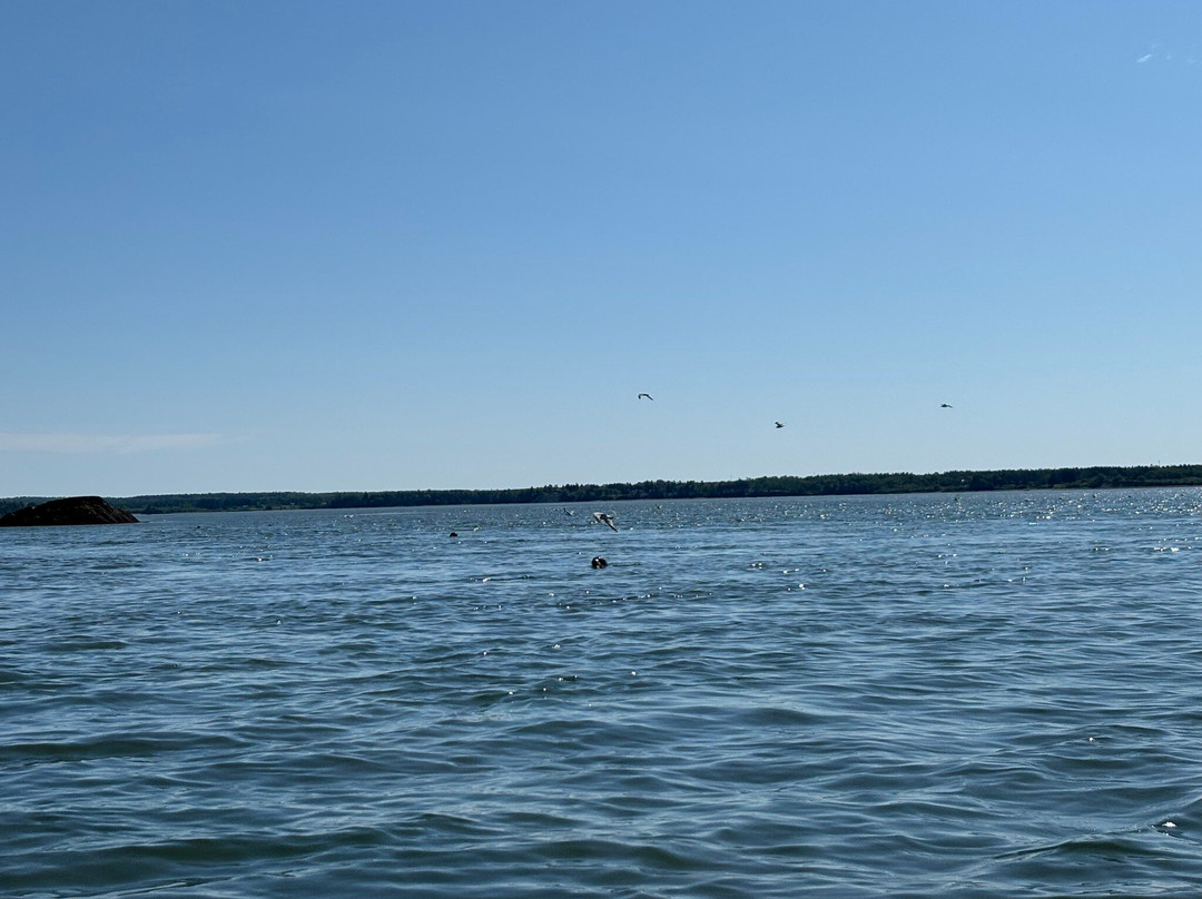 Sunrise Canoe and Kayak-Machias必去景点