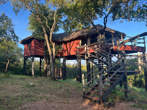 艾勒瓦纳塔兰吉尔树顶酒店主图