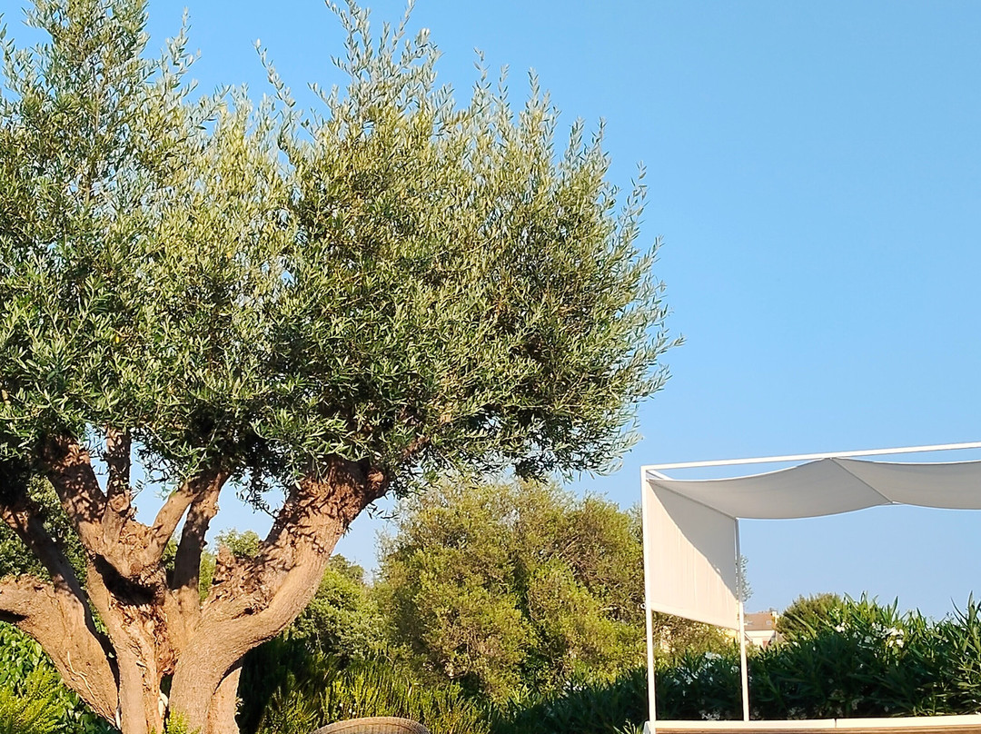Borgo Rosso B&B Country House主图