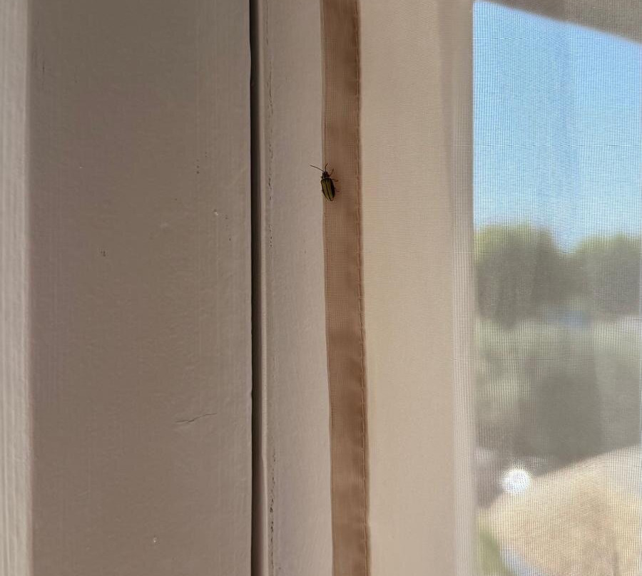 Ampuria Inn Hotel主图