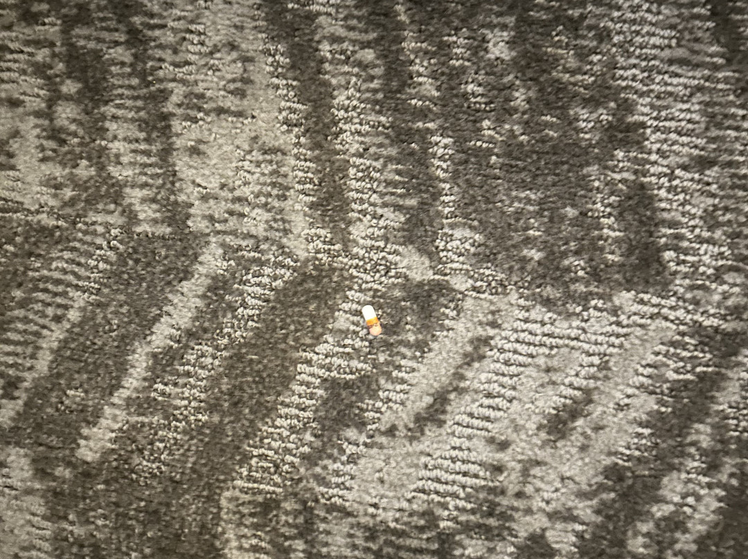 SpringHill Suites by Marriott Kansas City Plaza主图