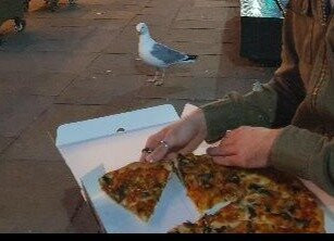 Pizza Figaro