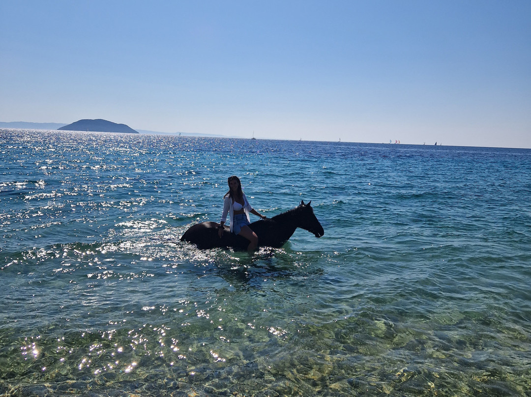 Ziogas Riding Center-Neos Marmaras必去景点