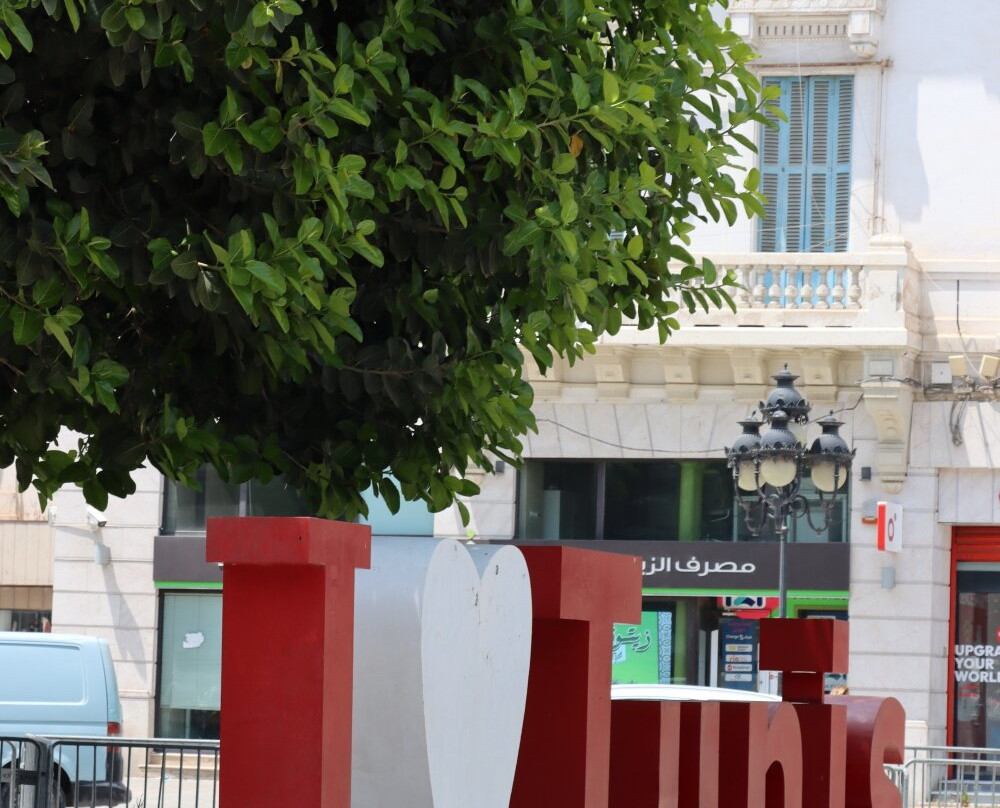 Place de L'Independance-突尼斯必去景点