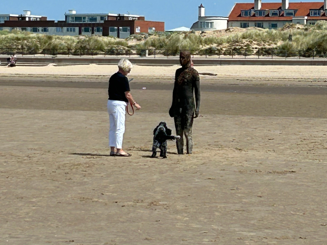Crosby Beach-克罗斯比必去景点