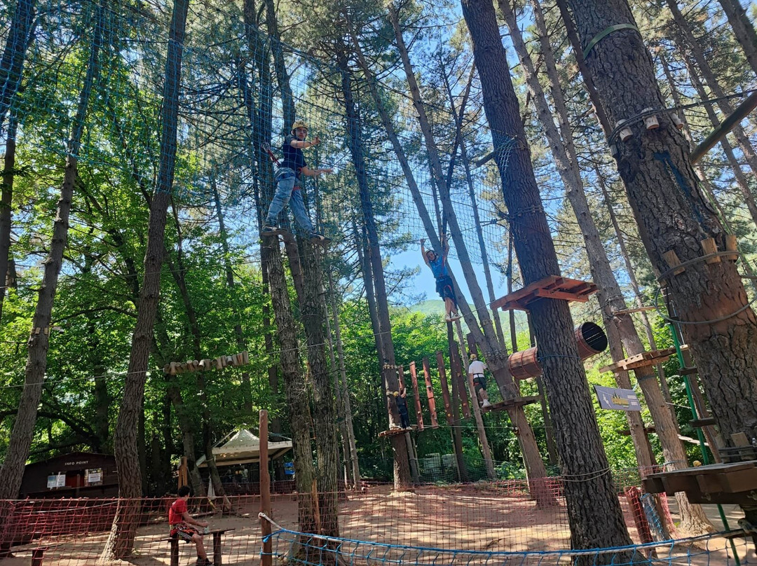 Parco Avventura Montevergine-Ospedaletto d'Alpinolo必去景点