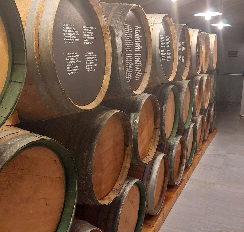 Museo del Vino-Olite必去景点