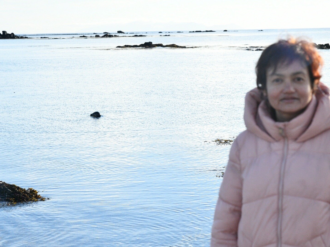 Ytri Tunga Beach-布迪尔必去景点