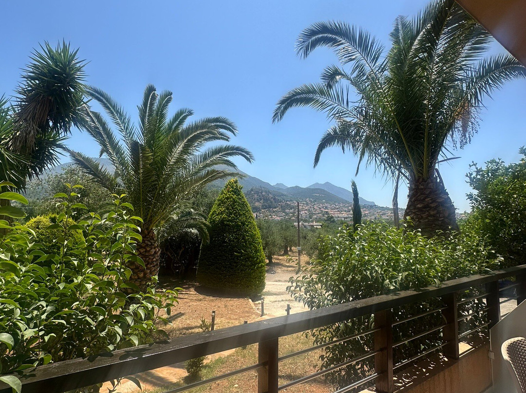 Apollo Resort Art Hotel主图