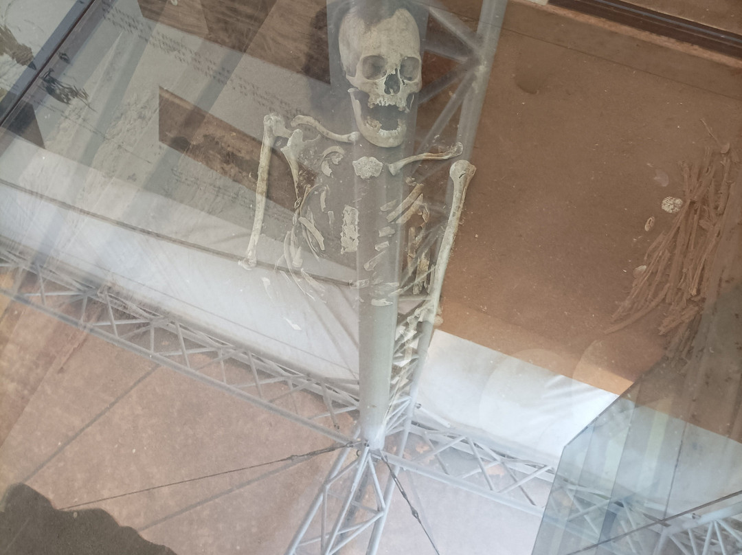 Museo De Sitio Colon 10-阿里卡必去景点