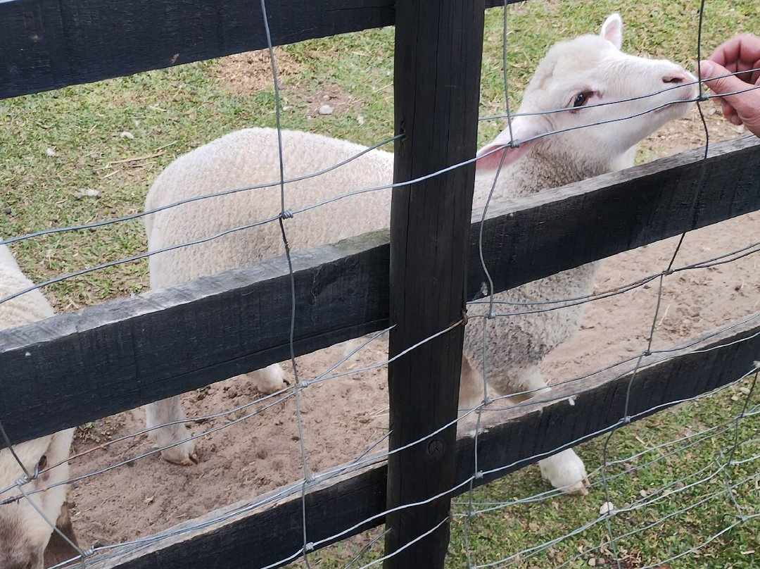 Parque da Lagoinha-坎普斯－杜若尔当必去景点