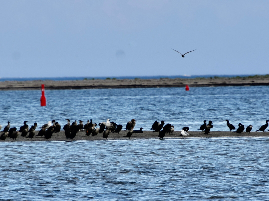 Phoca Tours-Saint-Louis-de-Kent必去景点