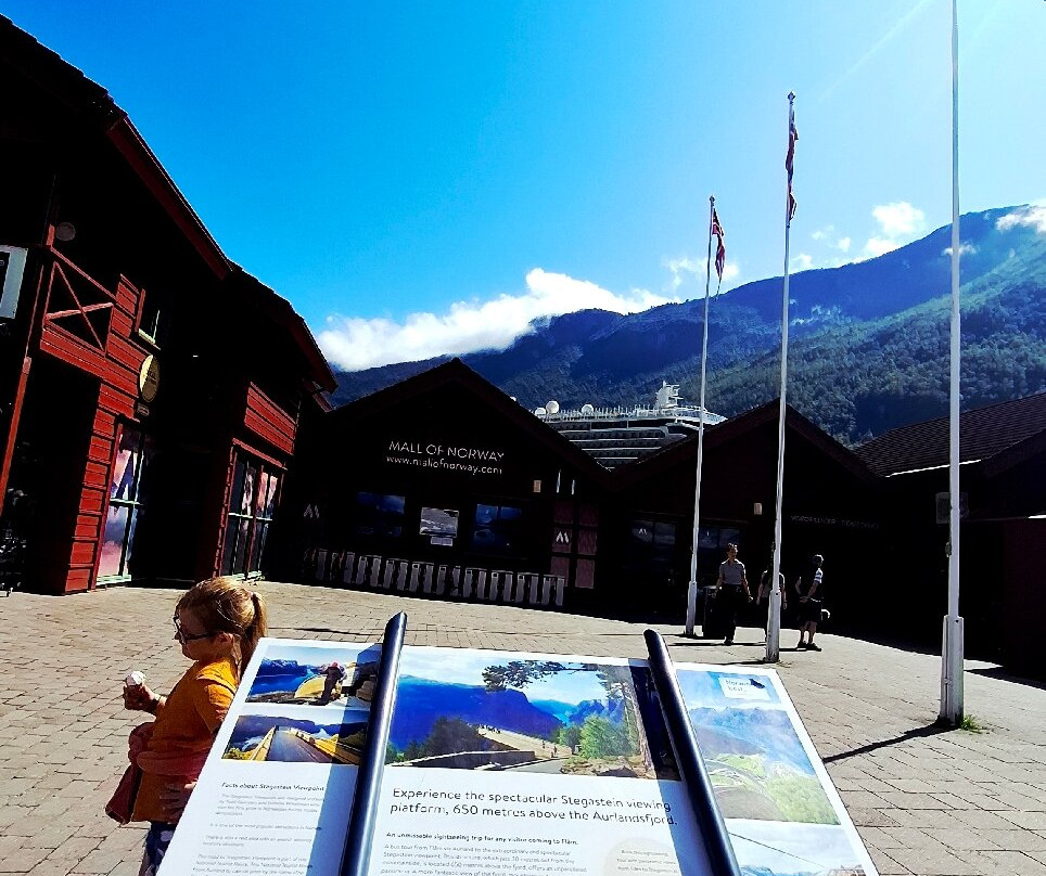 Flam Visitor Center-弗洛姆必去景点