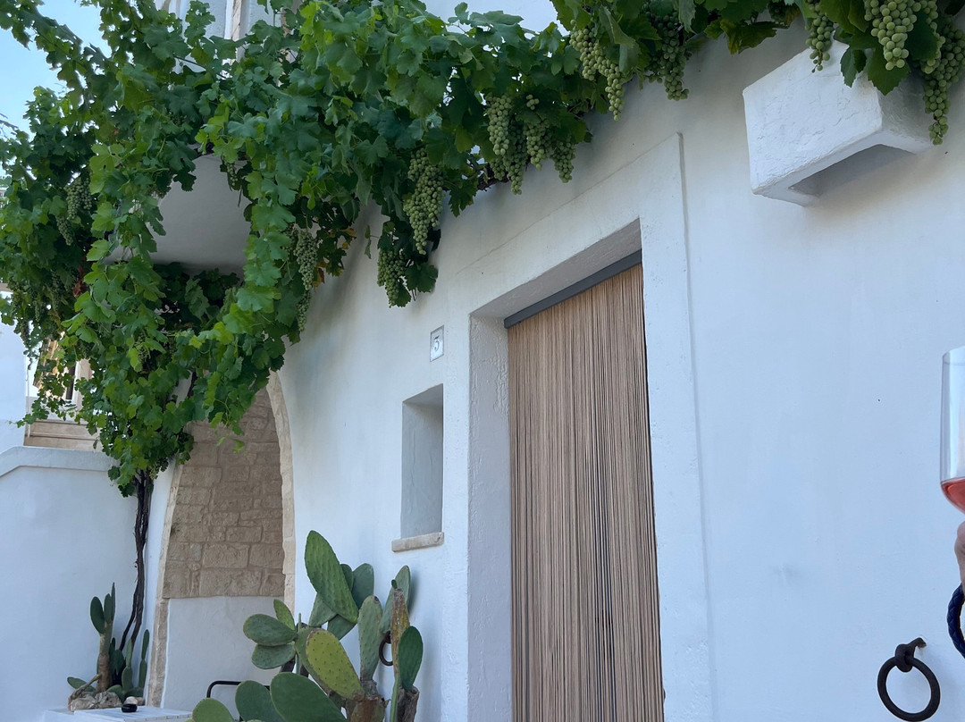 玛赛丽雅萨里诺拉酒店主图