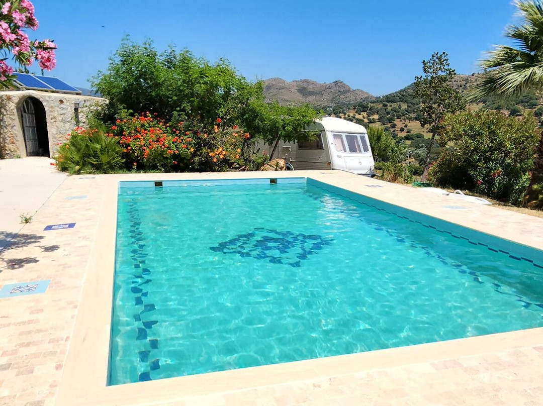 Eco Farm Boutique Hotel主图