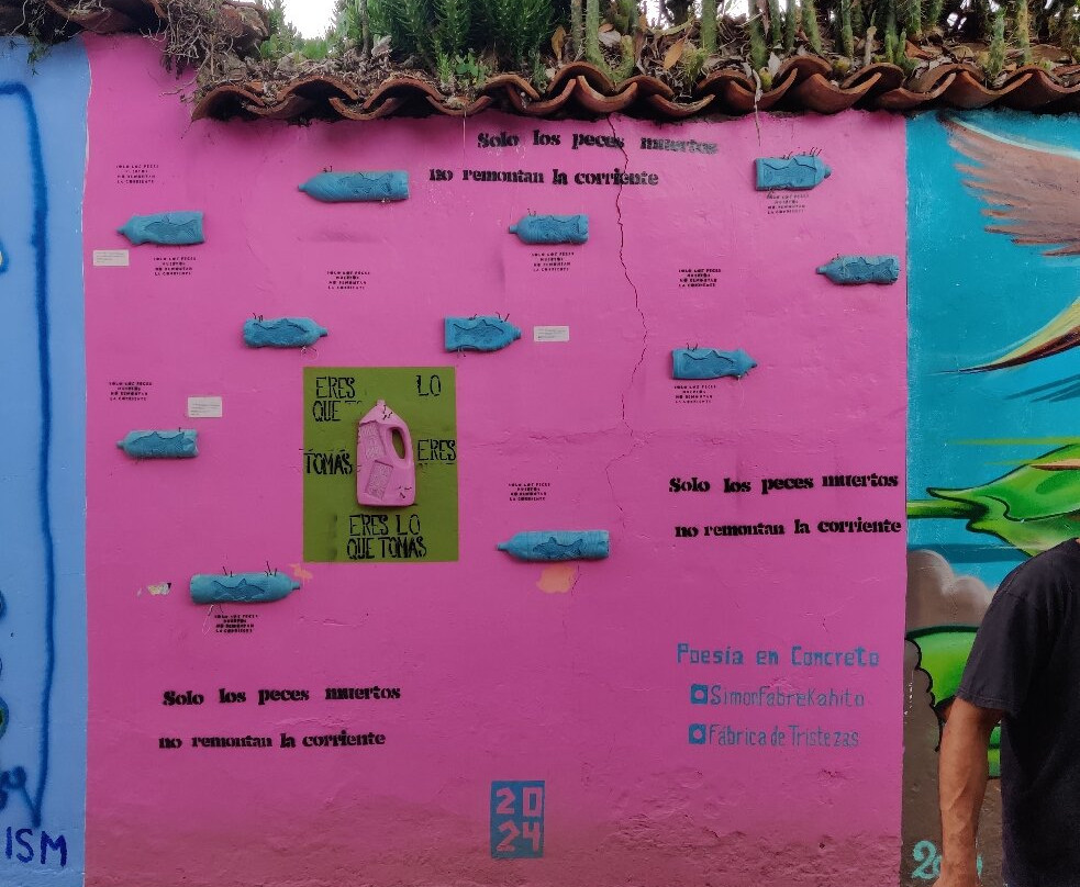 Free Walking Tour San Cristobal-圣克里斯托瓦尔-德拉斯卡萨斯必去景点