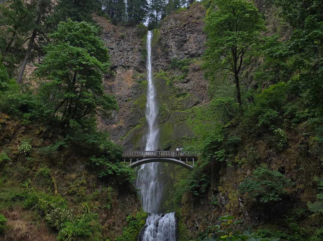 Bridal Veil Lodge主图
