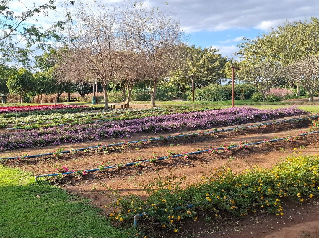 Bloemen Park-Holambra必去景点