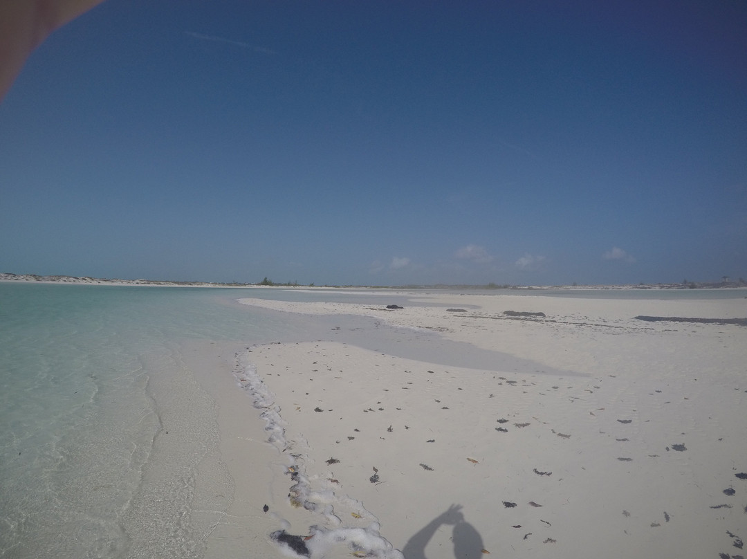 My TCI Experience-普罗维登西亚莱斯必去景点