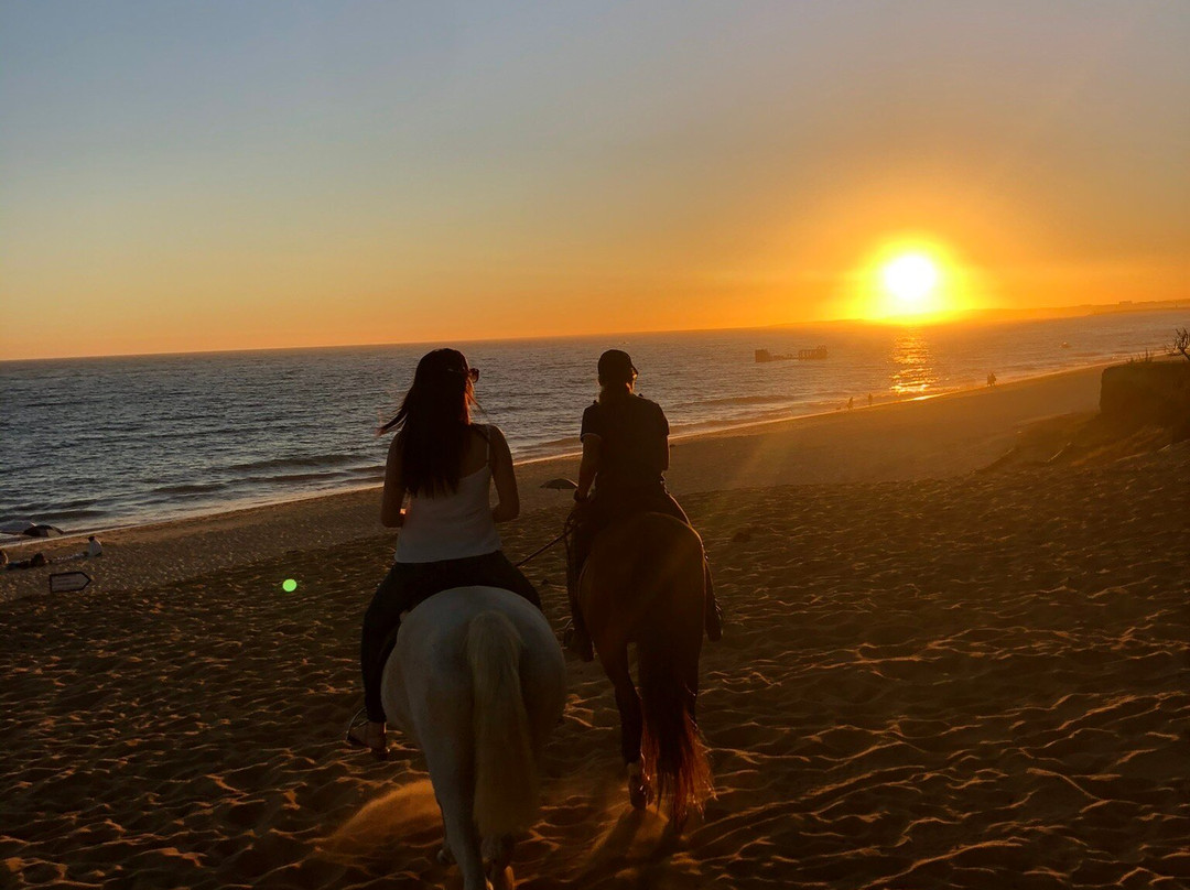 Clube Equestre A Palmeirinha-Almancil必去景点