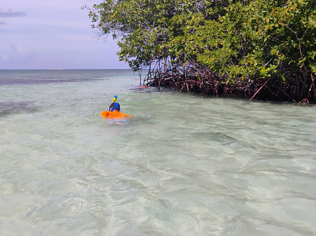 Bosque Estatal de Guánica-Guanica必去景点