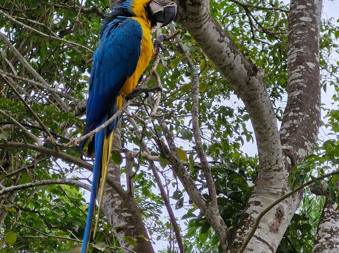 Faro Mirador Tayrona-Minca必去景点