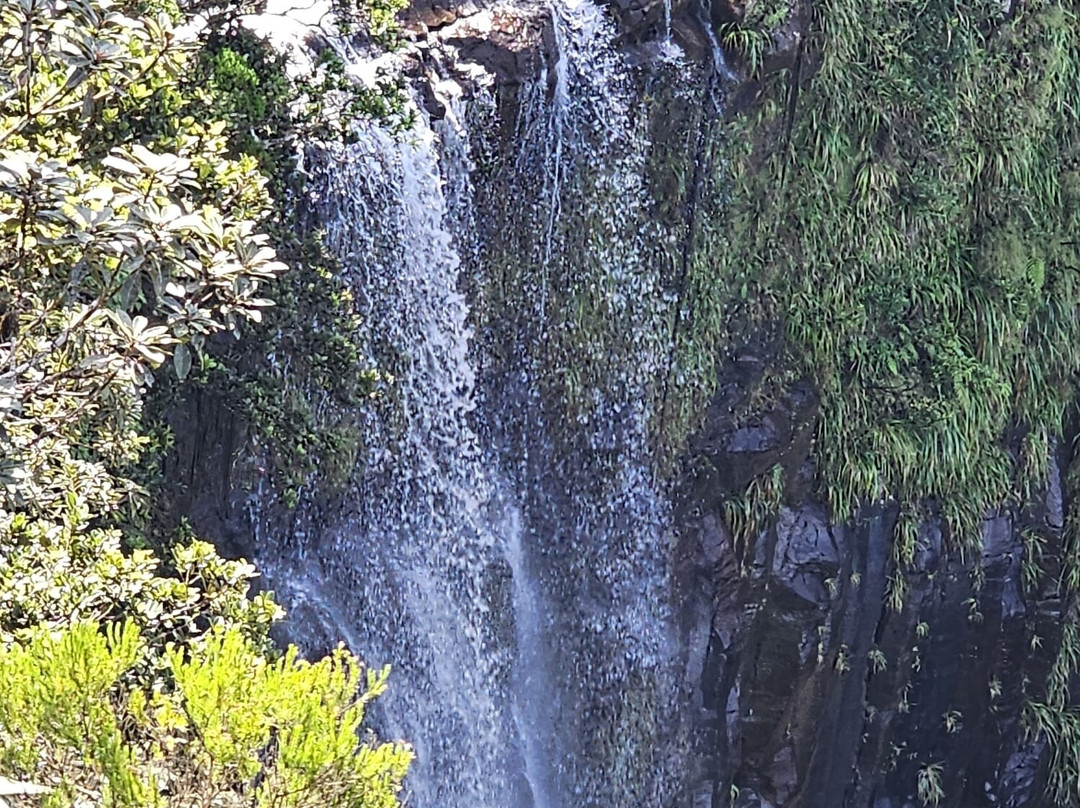 Alexandra Falls-Union Park必去景点