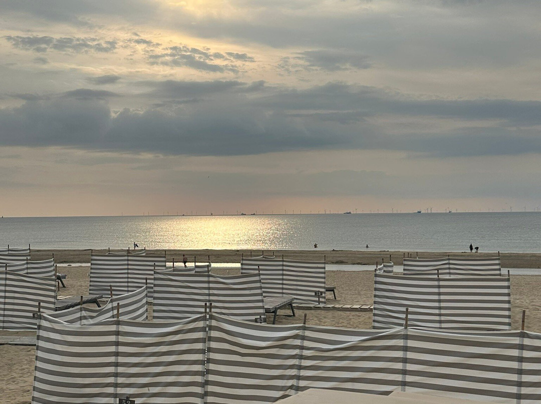 Beach Wassenaarseslag-Wassenaar必去景点