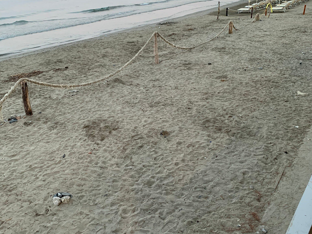 Spiaggia di Alassio-阿拉西奥必去景点