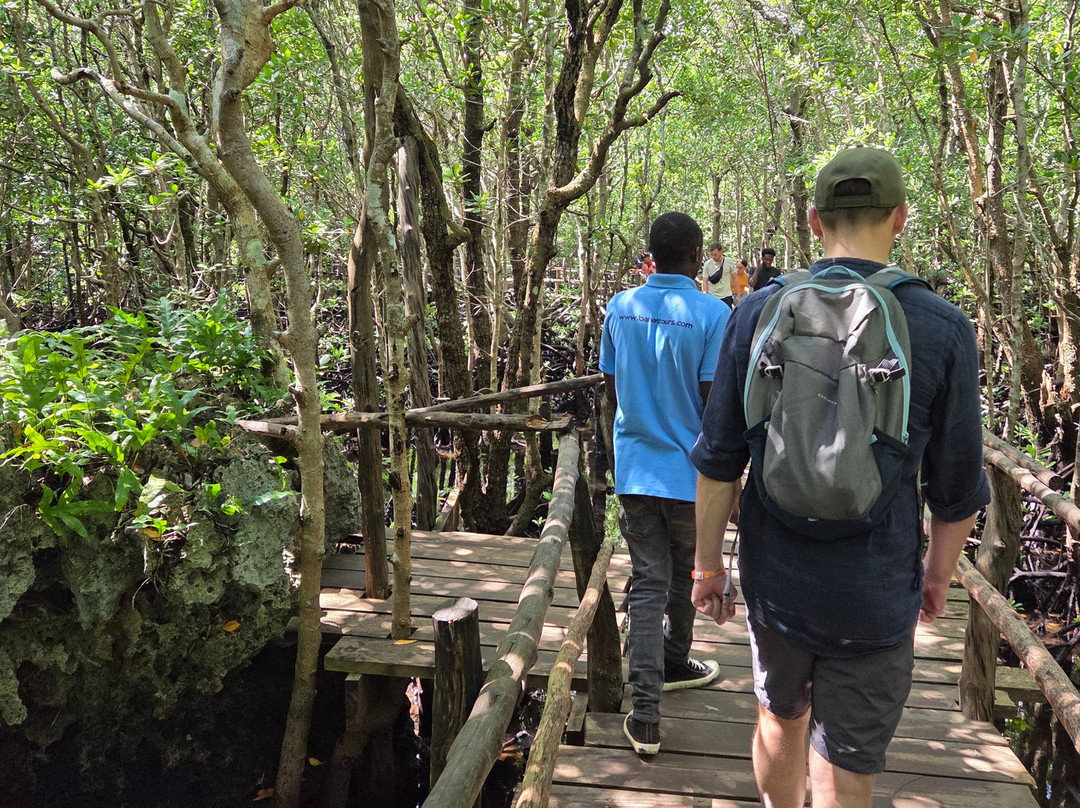 UROA SMILE TOURS-乌罗阿必去景点