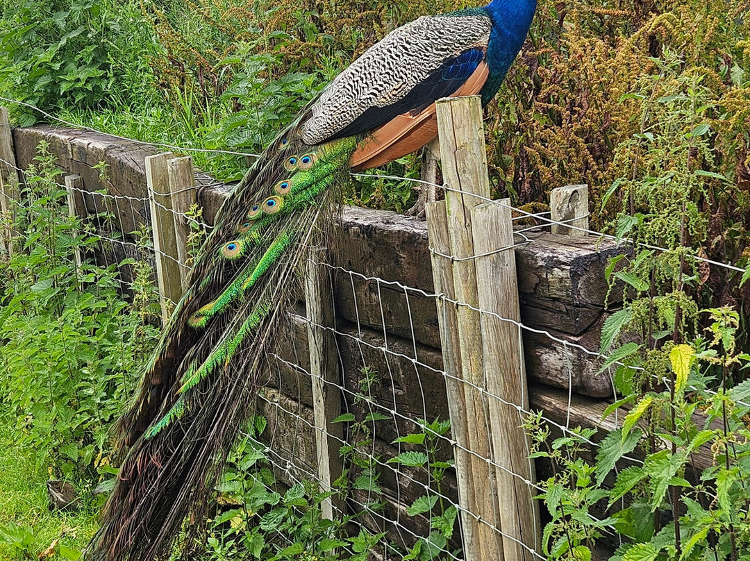 Meikle Westland Farm主图