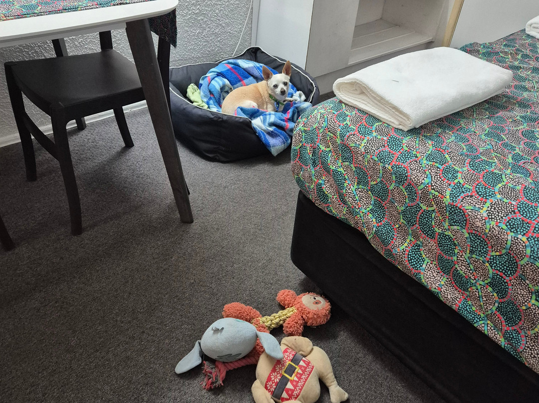 珊瑚别墅汽车旅馆主图