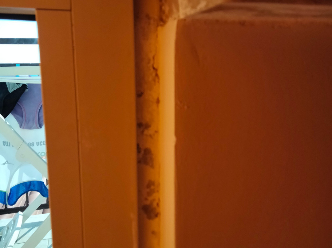 Germania Hotel主图