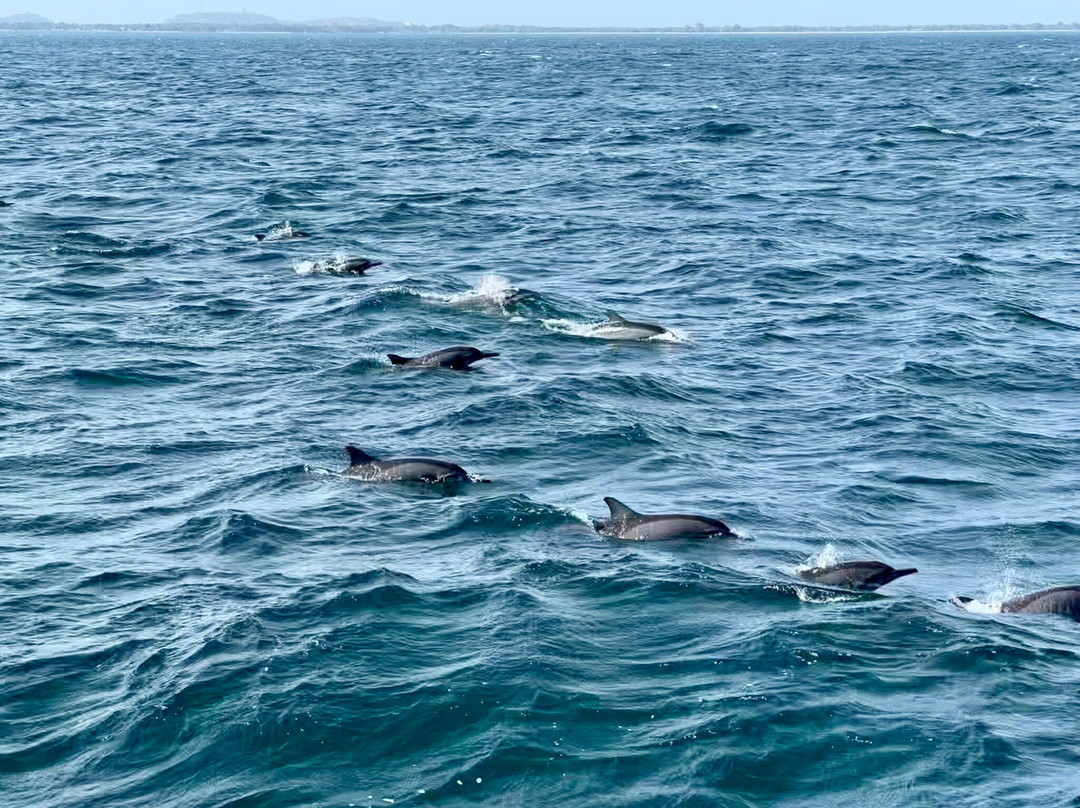 Sail Lanka - Trincomalee-Trincomalee必去景点