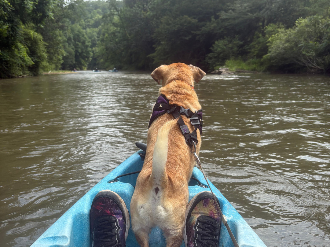 Headwaters Outfitters Outdoor Adventures-Rosman必去景点