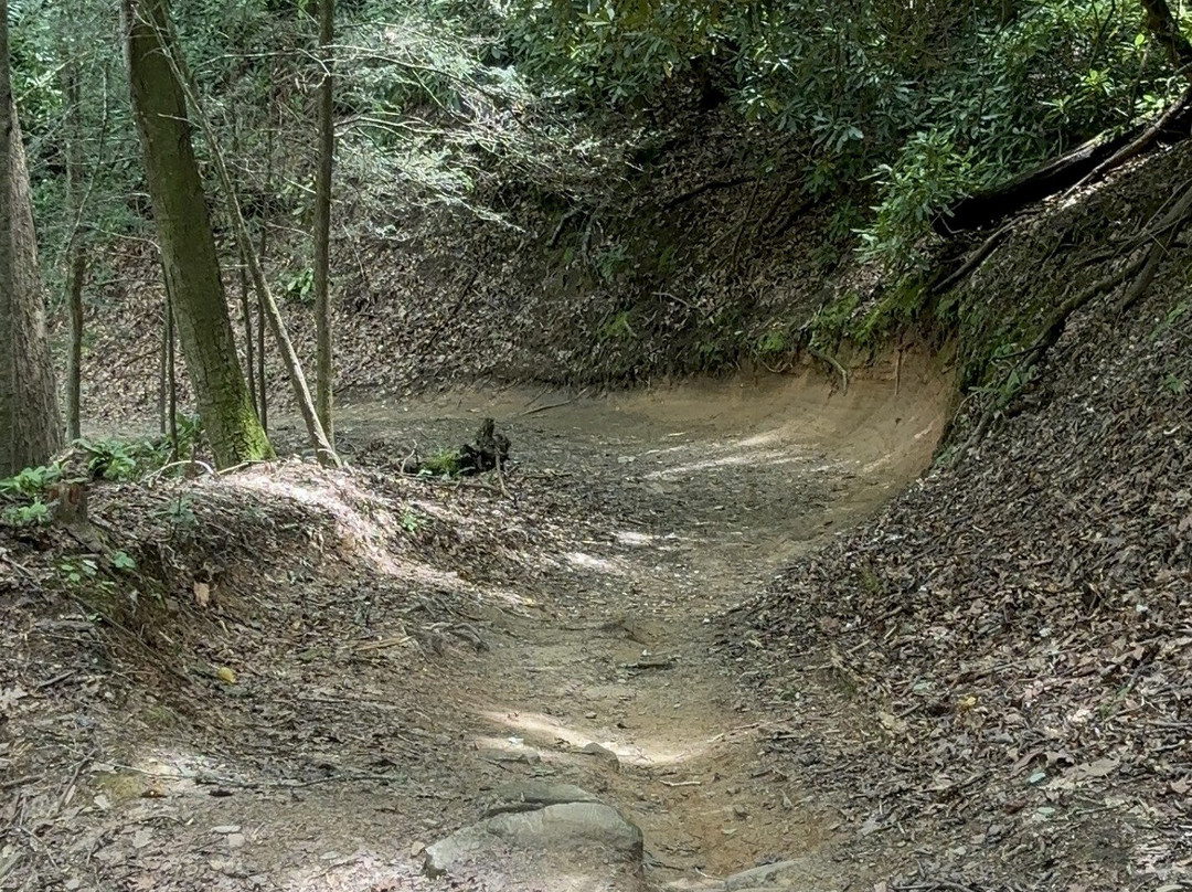 MTB Skills Factory-Pisgah Forest必去景点