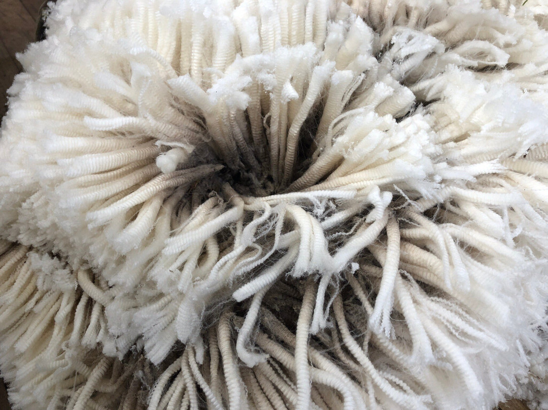 Fitzroy Farm-Darwin必去景点