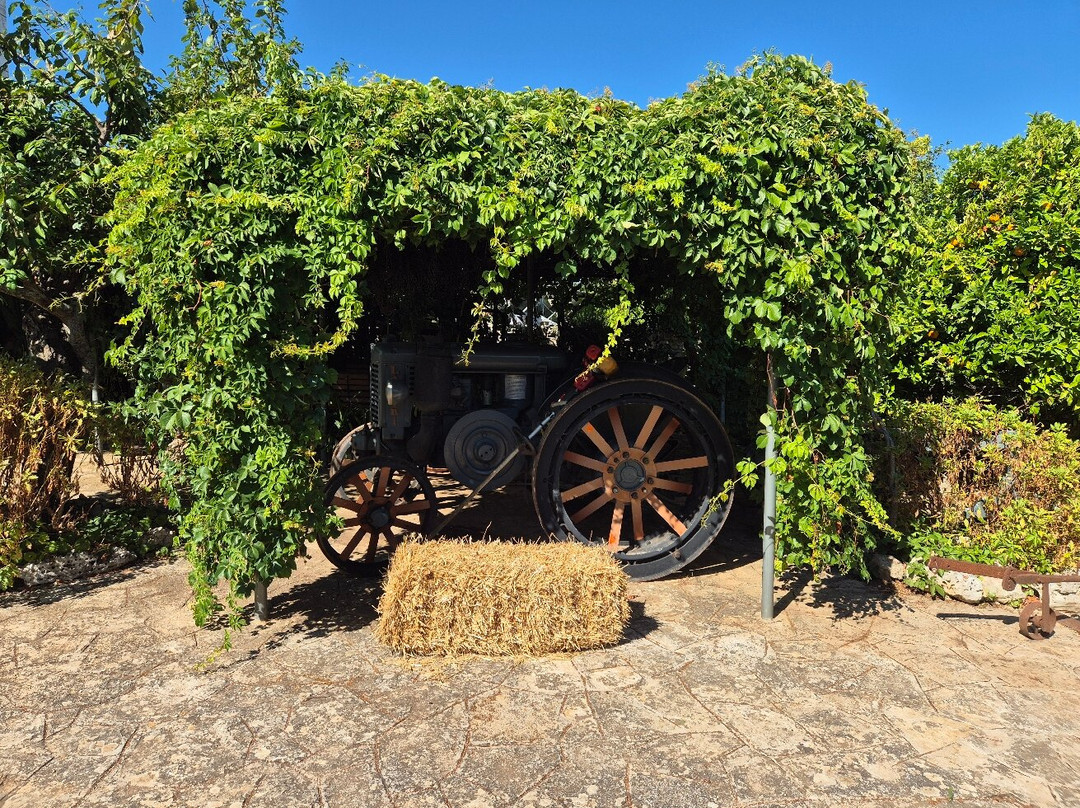 Caranna酒店住宿-B & B Masseria Montanaro