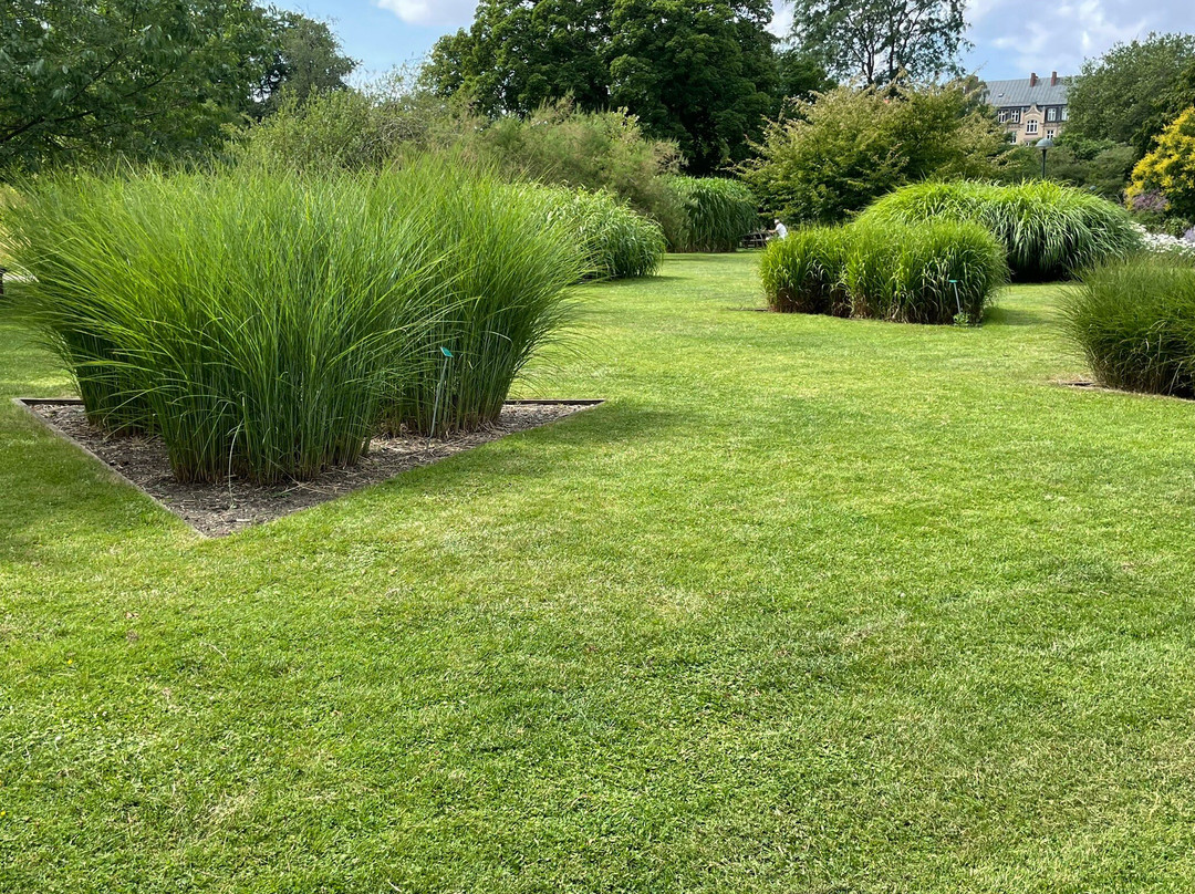 Botanical Gardens (Botaniska Tradgarden)-隆德必去景点