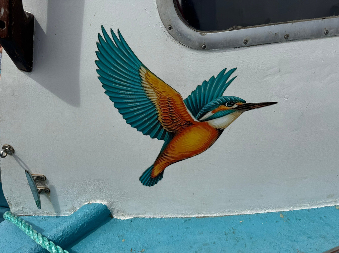 Kingfisher Coastal Charters-Newlyn必去景点