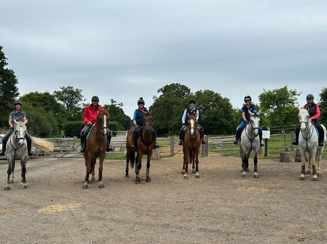 Wayside Stables-Fifield必去景点
